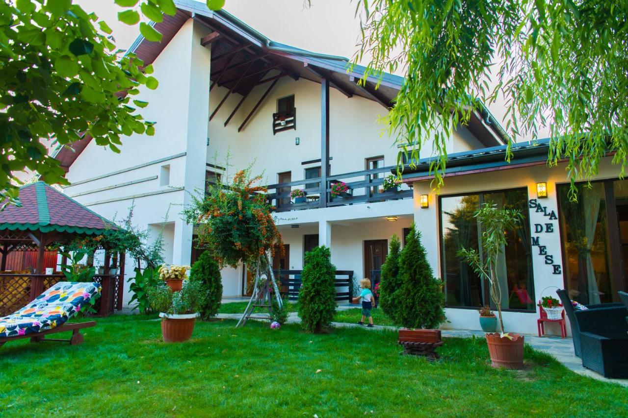 Pensiunea Puiu Hotel Afumati Exterior photo