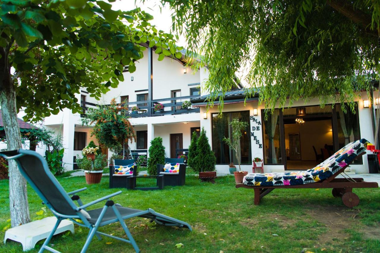 Pensiunea Puiu Hotel Afumati Exterior photo