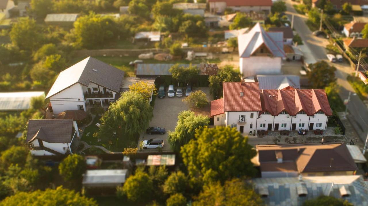 Pensiunea Puiu Hotel Afumati Exterior photo